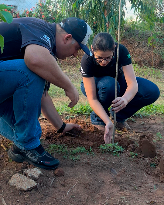 Projeto SOS Uruçu Amarela - Foto 1