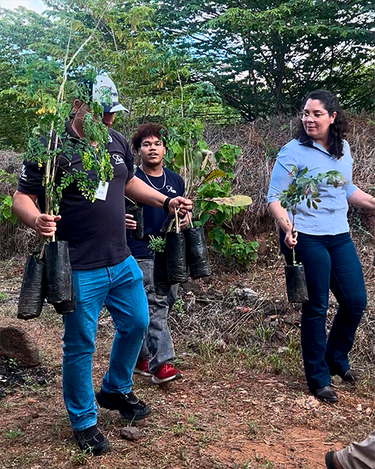 Projeto SOS Uruçu Amarela - Foto 1